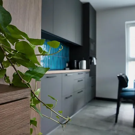 Bursztynowy Loft Letnica Przy Stadionie *